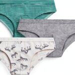 Petit Bateau Set di Slip per Bambini in Cotone con Stampa Zebra, Multicolore, 6 Anni-0