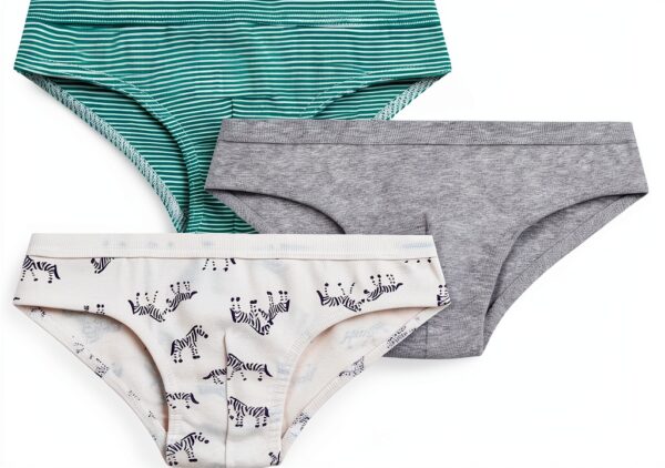 Petit Bateau Set di Slip per Bambini in Cotone con Stampa Zebra, Multicolore, 6 Anni-0