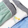Petit Bateau Boxer (Pacco da 3) Bambini e Ragazzi-2